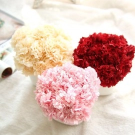 Beautiful Simulate Carnation Bouquet Artificial Flower 
